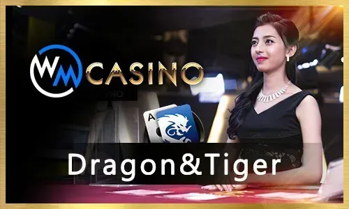 Bingo Secure Platform Data Protection